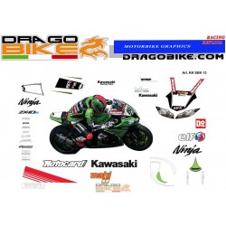 Kit adesivi Race replica Kawasaki SBK 2013